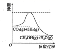 图片_x0020_929640951