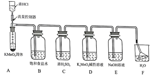 图片_x0020_100017