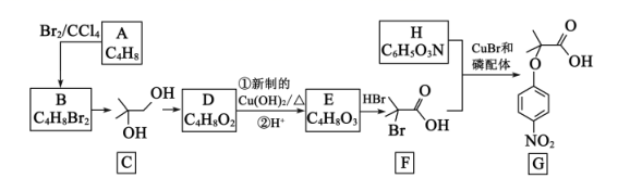 图片_x0020_157253645