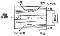 图片_x0020_518394213