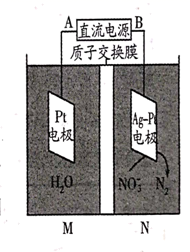 图片_x0020_813431305