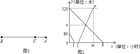图片_x0020_100018