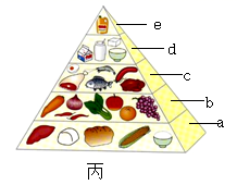 图片_x0020_1761299908