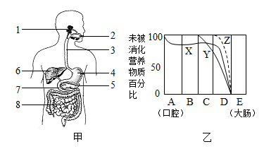 图片_x0020_967046406