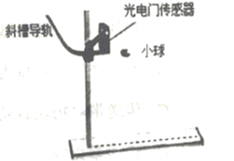 图片_x0020_100017