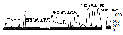 图片_x0020_100003