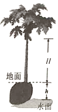 图片_x0020_100007