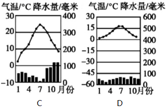图片_x0020_100016