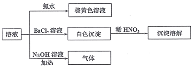 图片_x0020_100020
