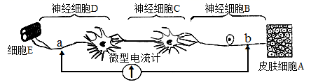 图片_x0020_100003