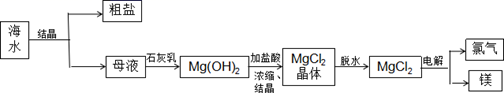 图片_x0020_100012