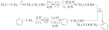 图片_x0020_100032