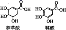 图片_x0020_100017