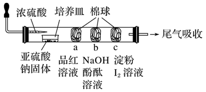 图片_x0020_100001