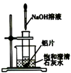 图片_x0020_100010