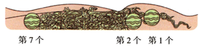 图片_x0020_100017