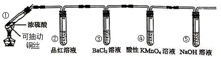 图片_x0020_100003