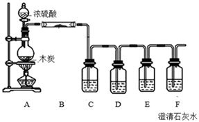 图片_x0020_100005