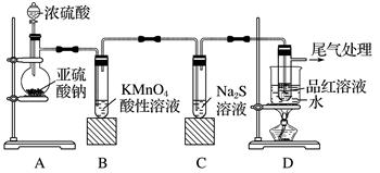 图片_x0020_100009