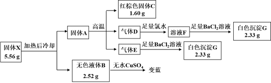 图片_x0020_100012