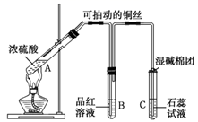 图片_x0020_100008