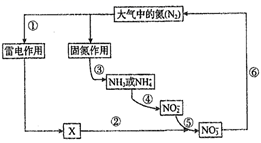图片_x0020_100007