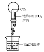 图片_x0020_100005