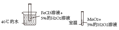 图片_x0020_100009