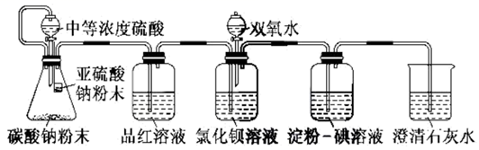 图片_x0020_100019