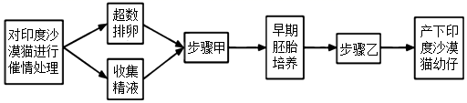 图片_x0020_100008