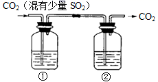 图片_x0020_100008