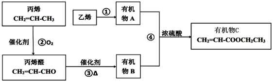 图片_x0020_100080
