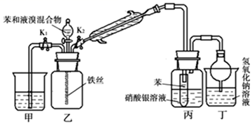 图片_x0020_100076