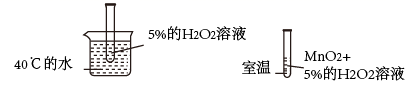 图片_x0020_100010