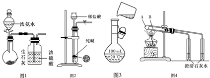 图片_x0020_100013