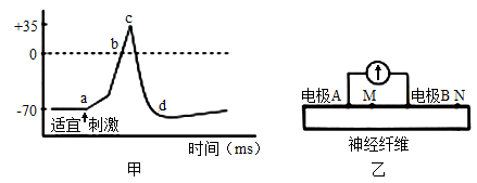 图片_x0020_100001