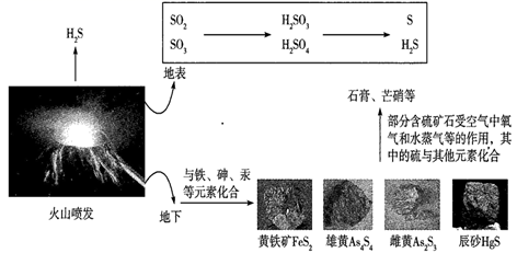 图片_x0020_100008