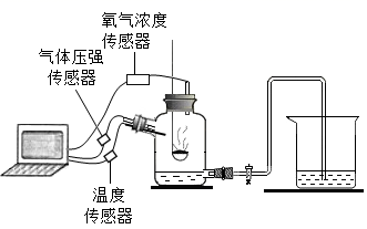 图片_x0020_100013
