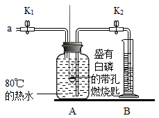 图片_x0020_100012