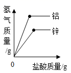 图片_x0020_100006