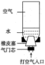 图片_x0020_100011