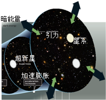 图片_x0020_100001
