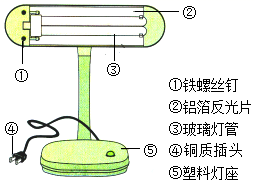 图片_x0020_100008