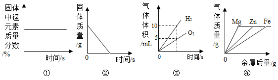 图片_x0020_100008