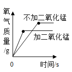 图片_x0020_100005