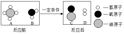 图片_x0020_100006