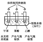 图片_x0020_2074923280