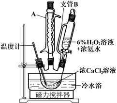 图片_x0020_100029