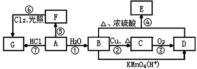 图片_x0020_1907206672