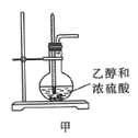 图片_x0020_100009